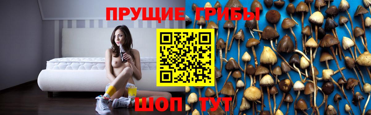 Вятские Поляны  Псилоцибиновые грибы Psilocybe  Псилоцибиновые грибы Cubensis  хочу   Вход с VPN 