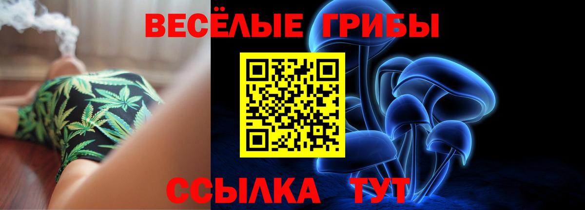 Псилоцибиновые грибы мицелий Вятские Поляны
